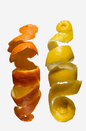 peelzz.jpg