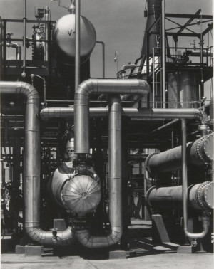 cfdda2737db3c40bcfdfa4a8aaa1579c