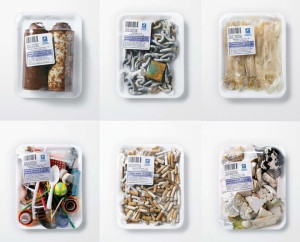 4a713feb01f4104cd369ffe9db29e159