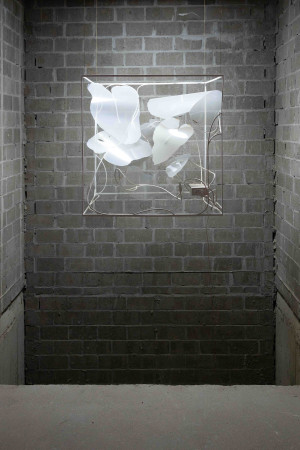 22-10-09_yvdh_muce-16-2