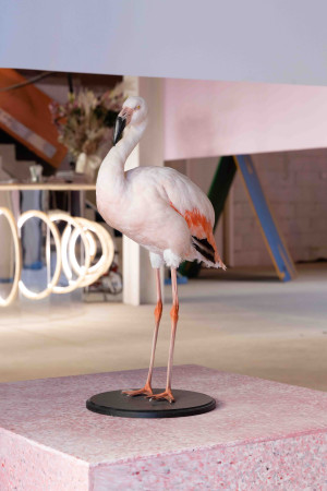 22-10-09_yvdh_muce-23