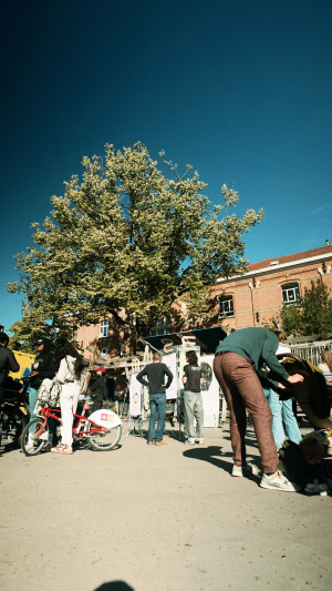 still-10_hr-shotby@timovergauwen.jpg